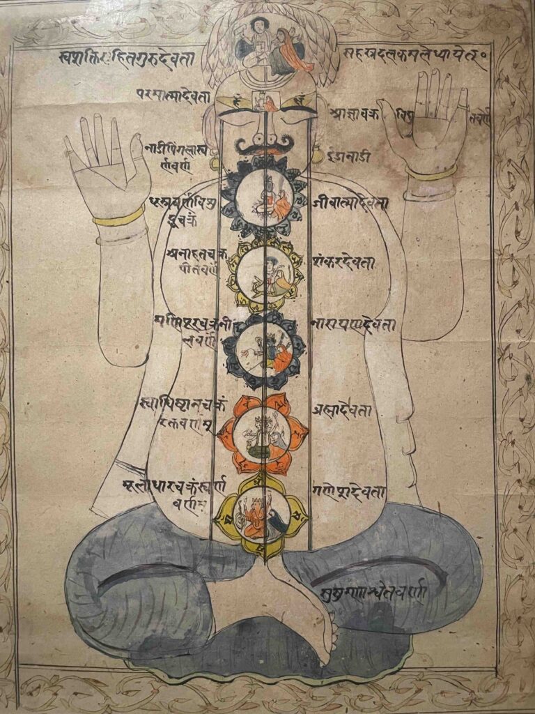Présence des chakras dans le corps